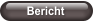 Bericht