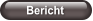 Bericht