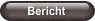 Bericht