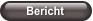 Bericht