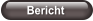 Bericht