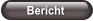 Bericht